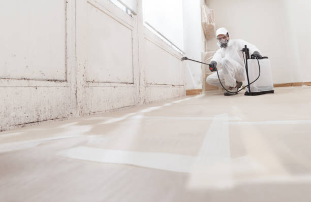 24/7 Emergency Mold Remediation experts in California, MD
